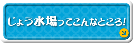 じょう水場ってこんなところ！